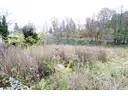 Jossgrund - Grundstück - Bild 1