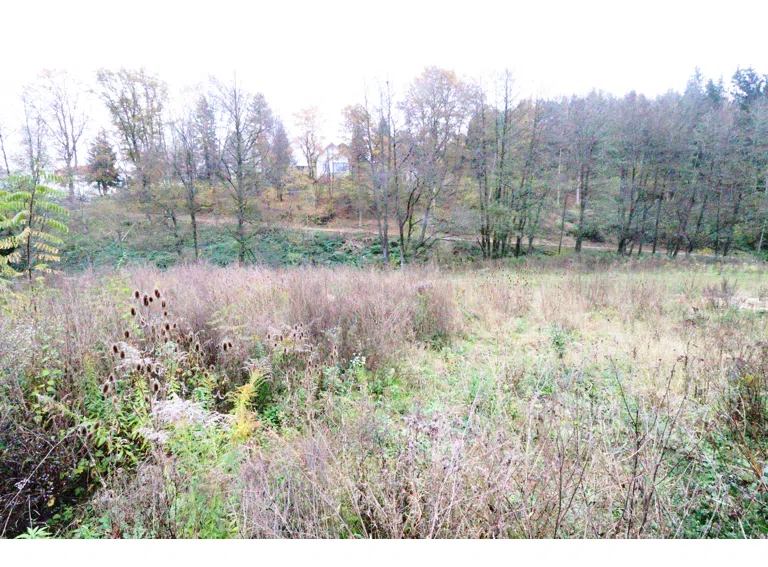 Jossgrund - Grundstück - Bild 2