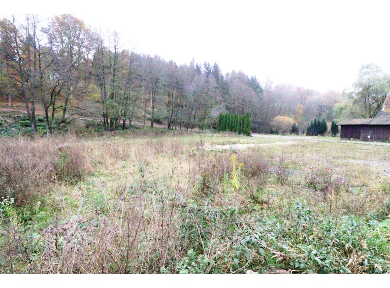 Jossgrund - Grundstück - Bild 3