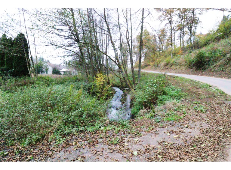 Jossgrund - Grundstück - Bild 6