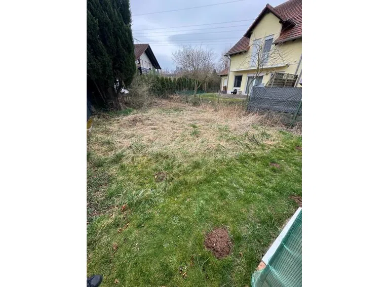 3 Garten