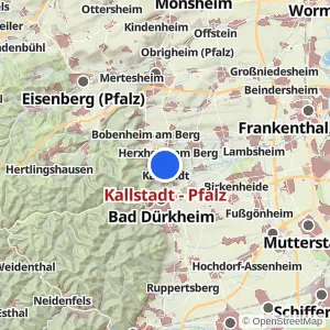 Kartenvorschau Kallstadt - Pfalz