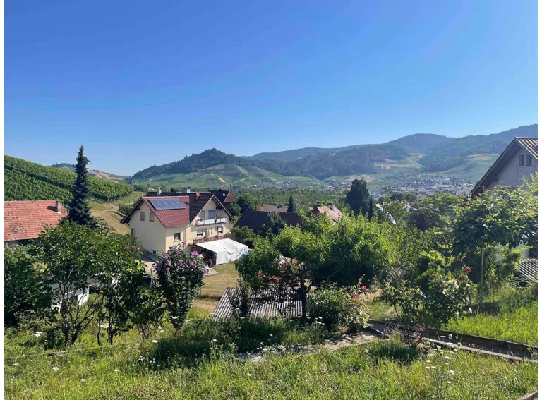 Aussicht vom Garten