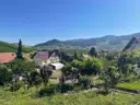 Aussicht vom Garten