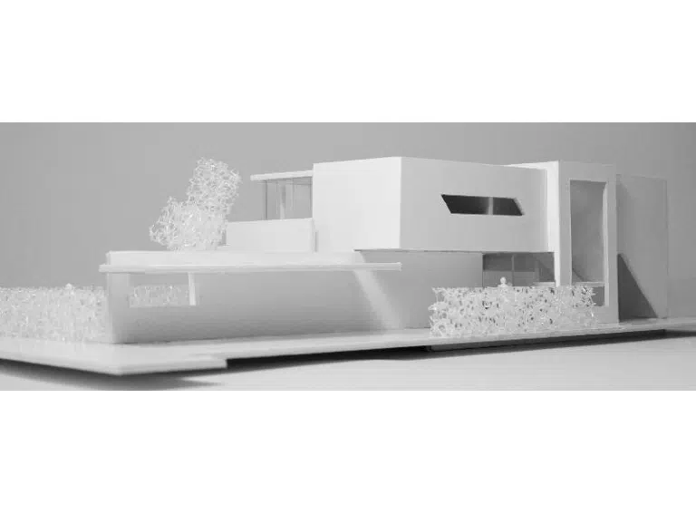 Straßenseite mit Carportdach + Zugang