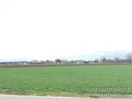 Titelbild für Sie sind auf der Suche nach einer langfristigen Wertanlage in