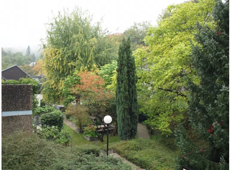 auch an regnerischen Tagen schön