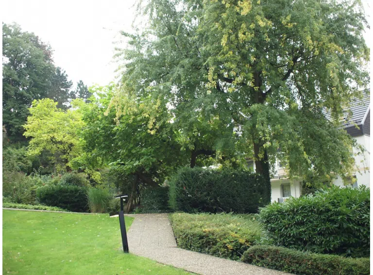 Zuweg durch die Parkanlage