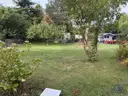 Gartenbereich - Lütt Immobilien - Kiel