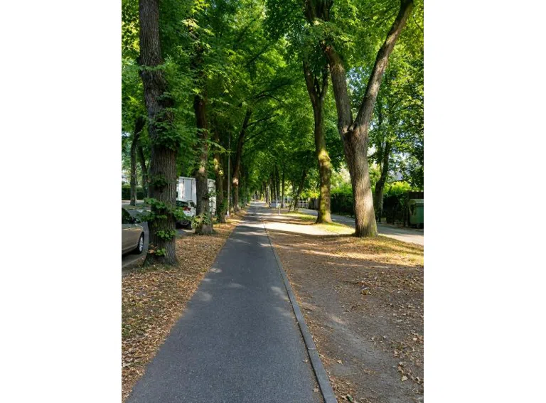 026 Allee
