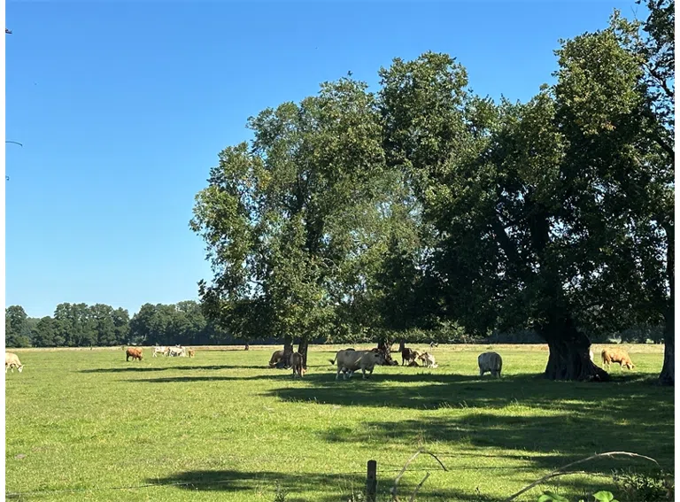 Nähere Umgebung