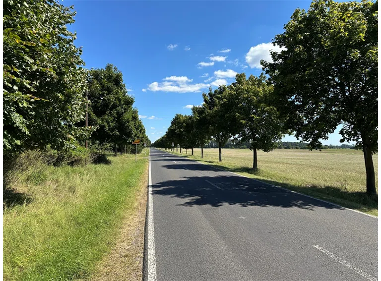 Straßenflucht