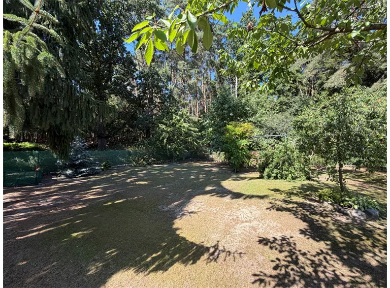 Garten hinten