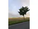 Morgendämmerung