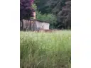 Manchmal Rehe Nachbargrundstüc