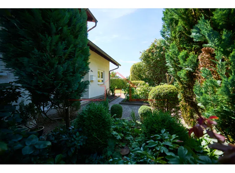 Blick in den Garten