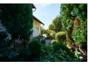 Blick in den Garten