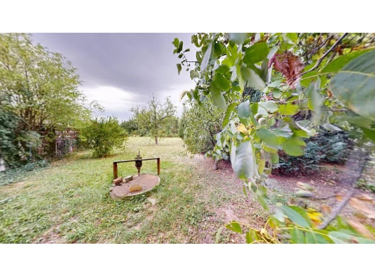 Blick in den Garten