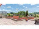 Süd-Dachterrasse