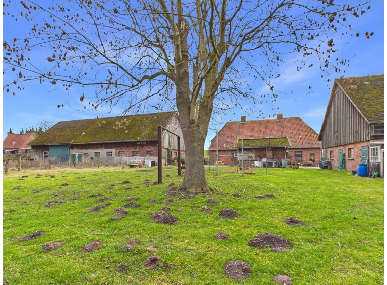Rückwärtige Ansicht - Kossau - Lütt Immobilien