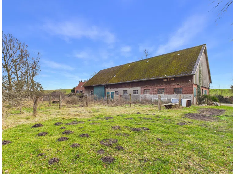 Kossau - Lütt Immobilien