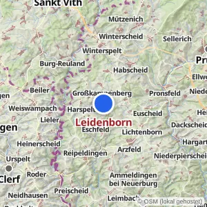 Kartenvorschau Leidenborn