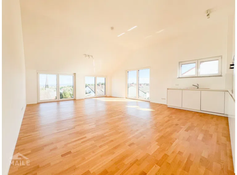 Wohn und Esszimmer + Küche
