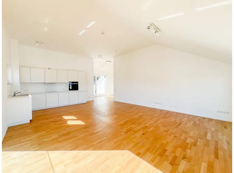 Wohn und Esszimmer + Küche