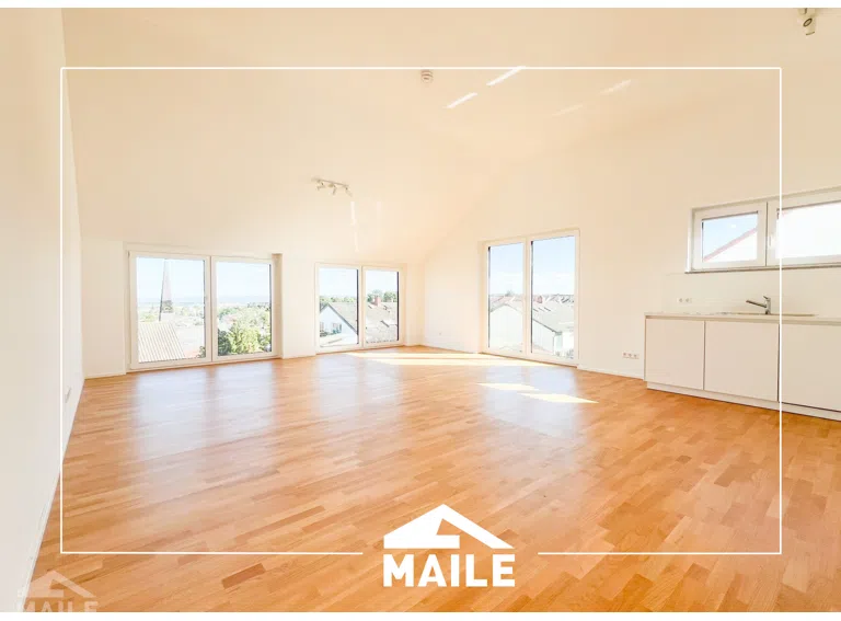 Wohn und Esszimmer + Küche