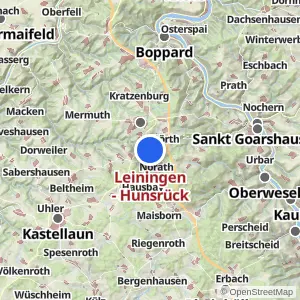 Kartenvorschau Leiningen - Hunsrück