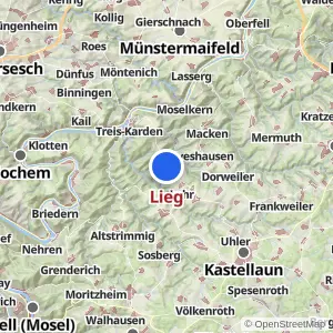 Kartenvorschau Lieg