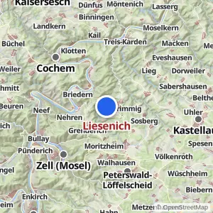 Kartenvorschau Liesenich