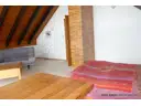 DG Studio