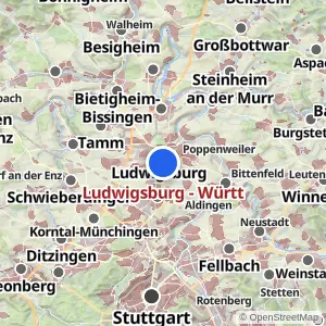 Kartenvorschau Ludwigsburg - Württ