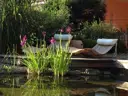 Schwimmteich