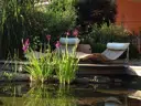 Schwimmteich