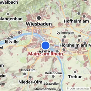 Kartenvorschau Mainz am Rhein