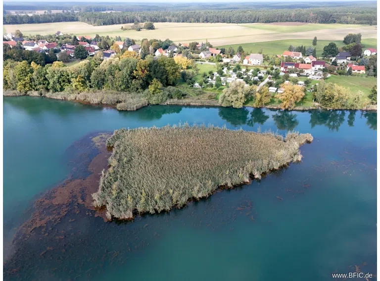 Insel Radisch