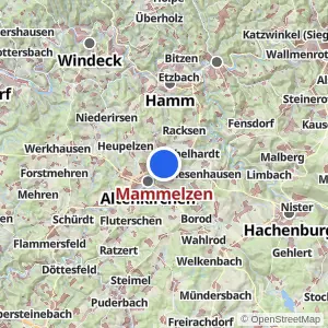 Kartenvorschau Mammelzen
