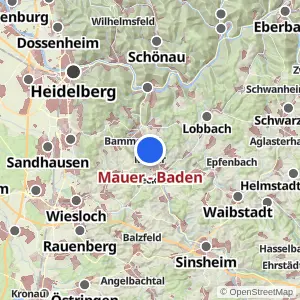 Kartenvorschau Mauer - Baden