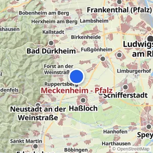 Kartenvorschau Meckenheim - Pfalz
