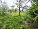 Garten mit Obstbaumbestand