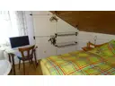 Zimmer1 DG