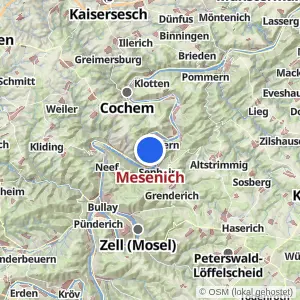 Kartenvorschau Mesenich