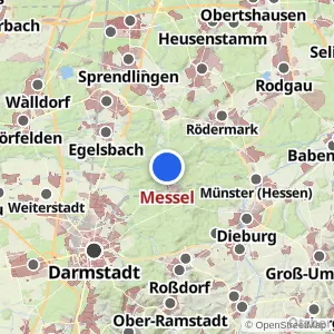 Kartenvorschau Messel