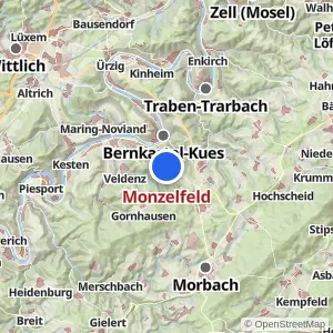 Kartenvorschau Monzelfeld