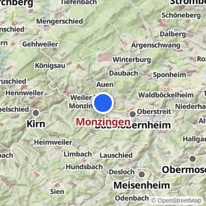 Kartenvorschau Monzingen
