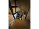 44 Schlafzimmer im OG
