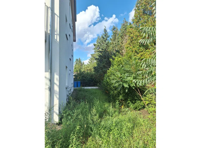 Gartenfläche