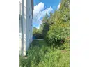 Gartenfläche